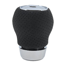 PERILLA UNIVERSAL VARIOS